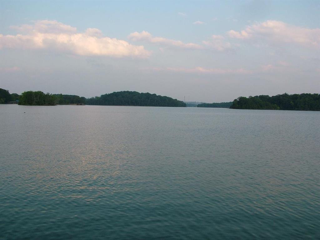 1306 Sable Road Spring City, TN 37381 - Photo 18 of 28 18