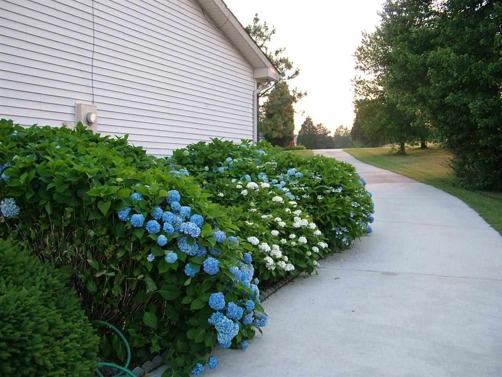 1306 Sable Road Spring City, TN 37381 - Photo 23 of 28 23