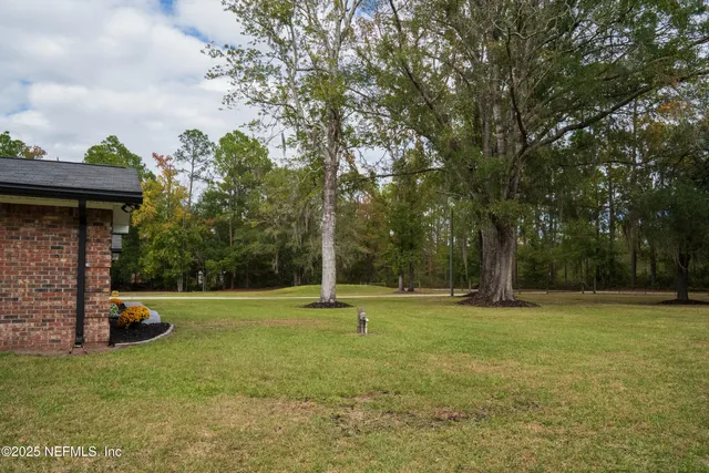 a view of a park with a slide