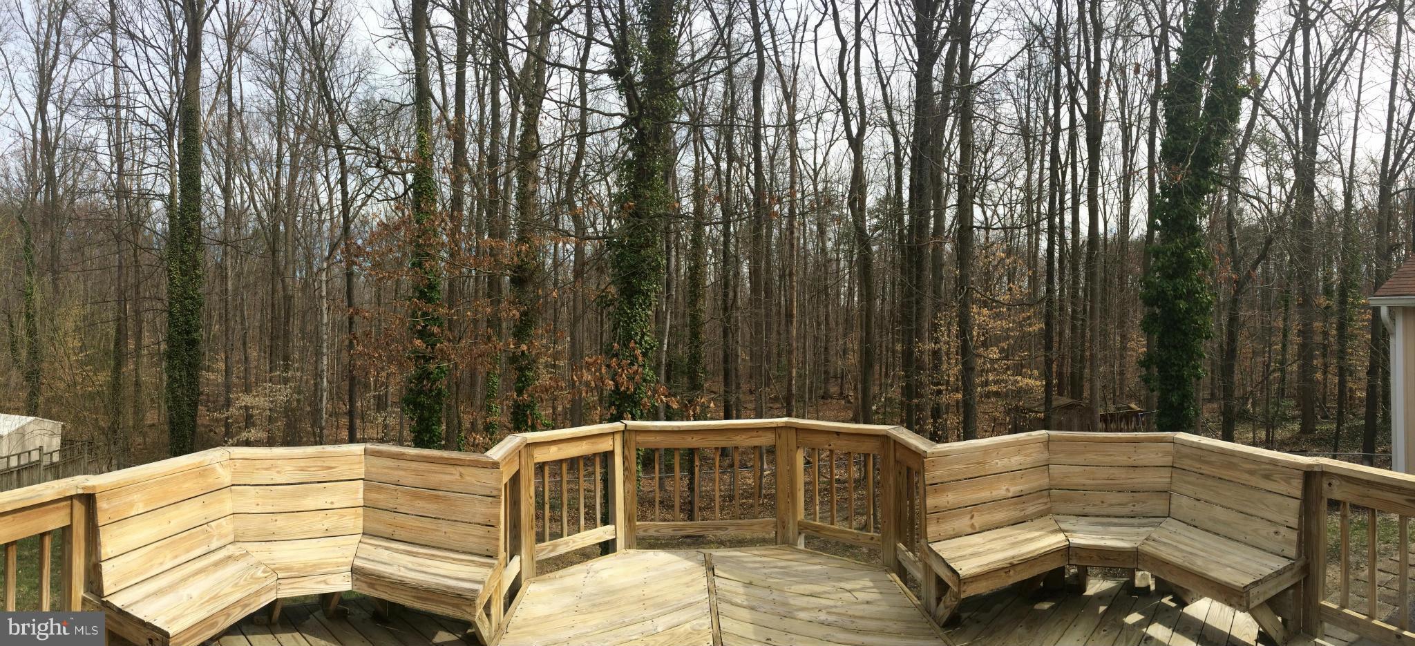 6131 Roxbury Avenue Springfield, VA 22152 - Photo 27 of 30 Backs to Trees