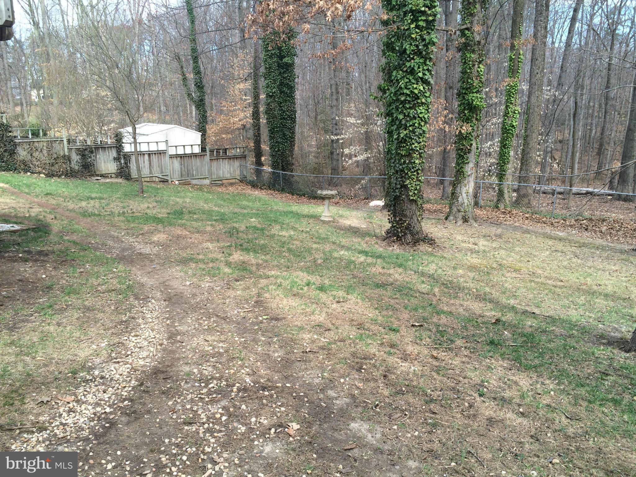 6131 Roxbury Avenue Springfield, VA 22152 - Photo 30 of 30 Back Yard