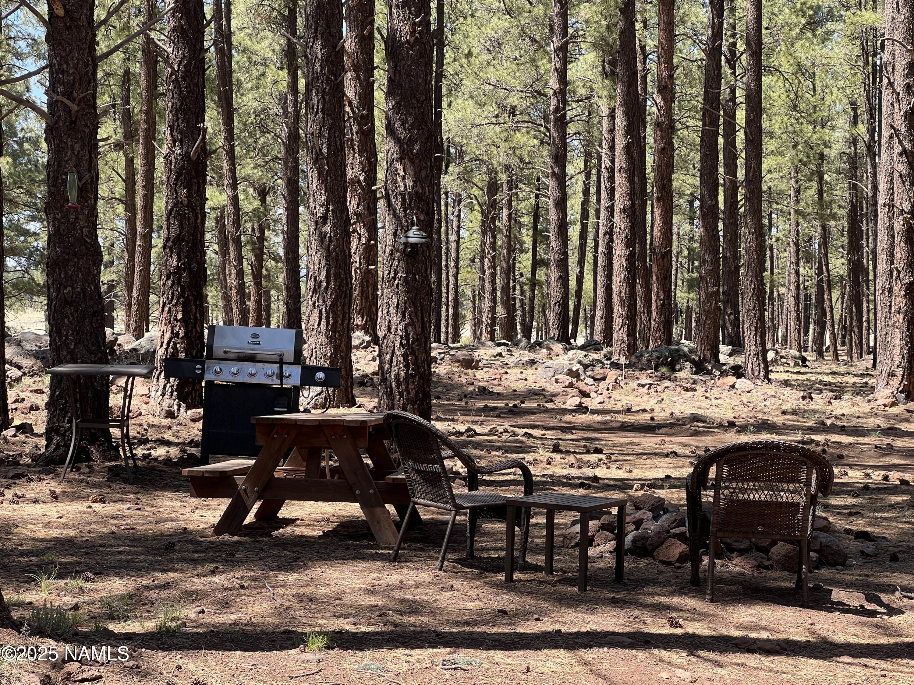 12830 East Thunder Rdg Road Parks, AZ 86018 - Photo 13 of 97 IMG_4959