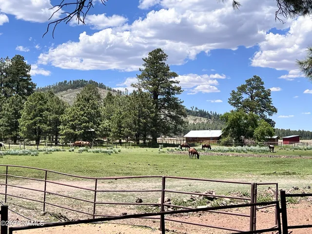 a living room with furniture large window and a fireplace