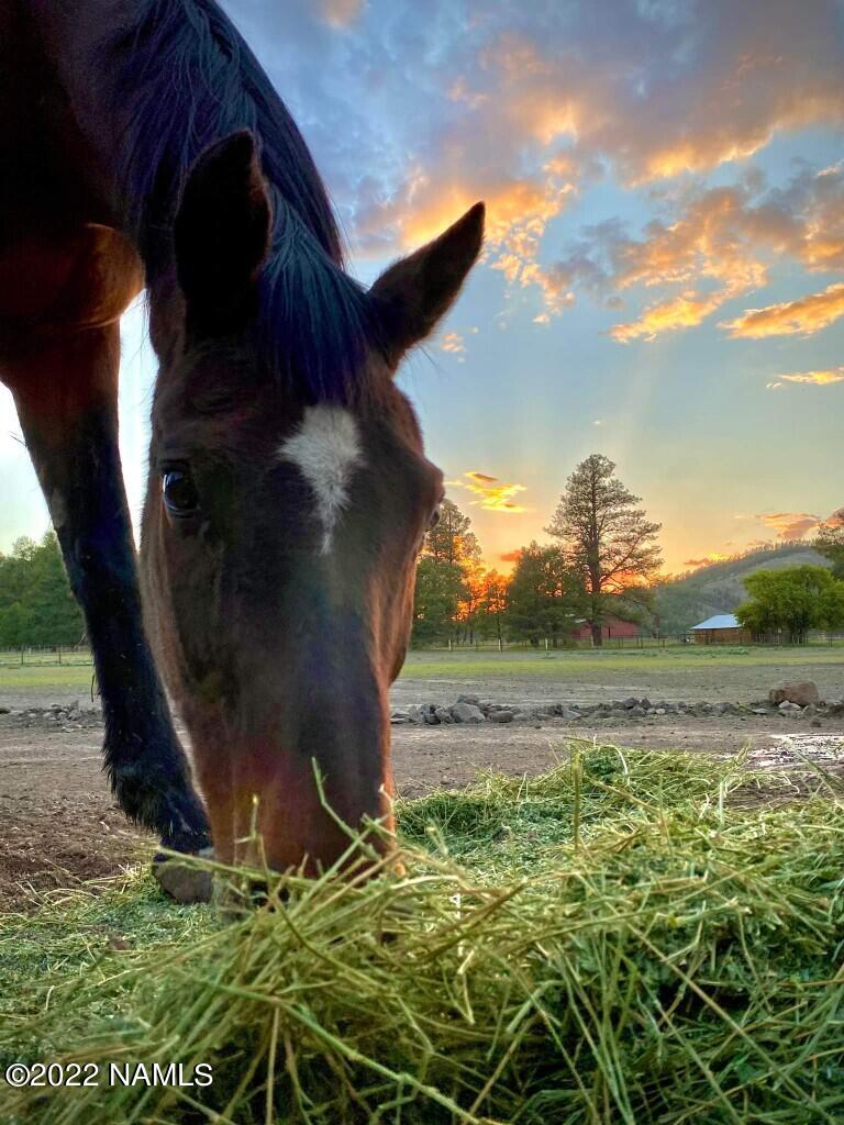 12830 East Thunder Rdg Road Parks, AZ 86018 - Photo 18 of 97 Horse-Pasture-Sunset
