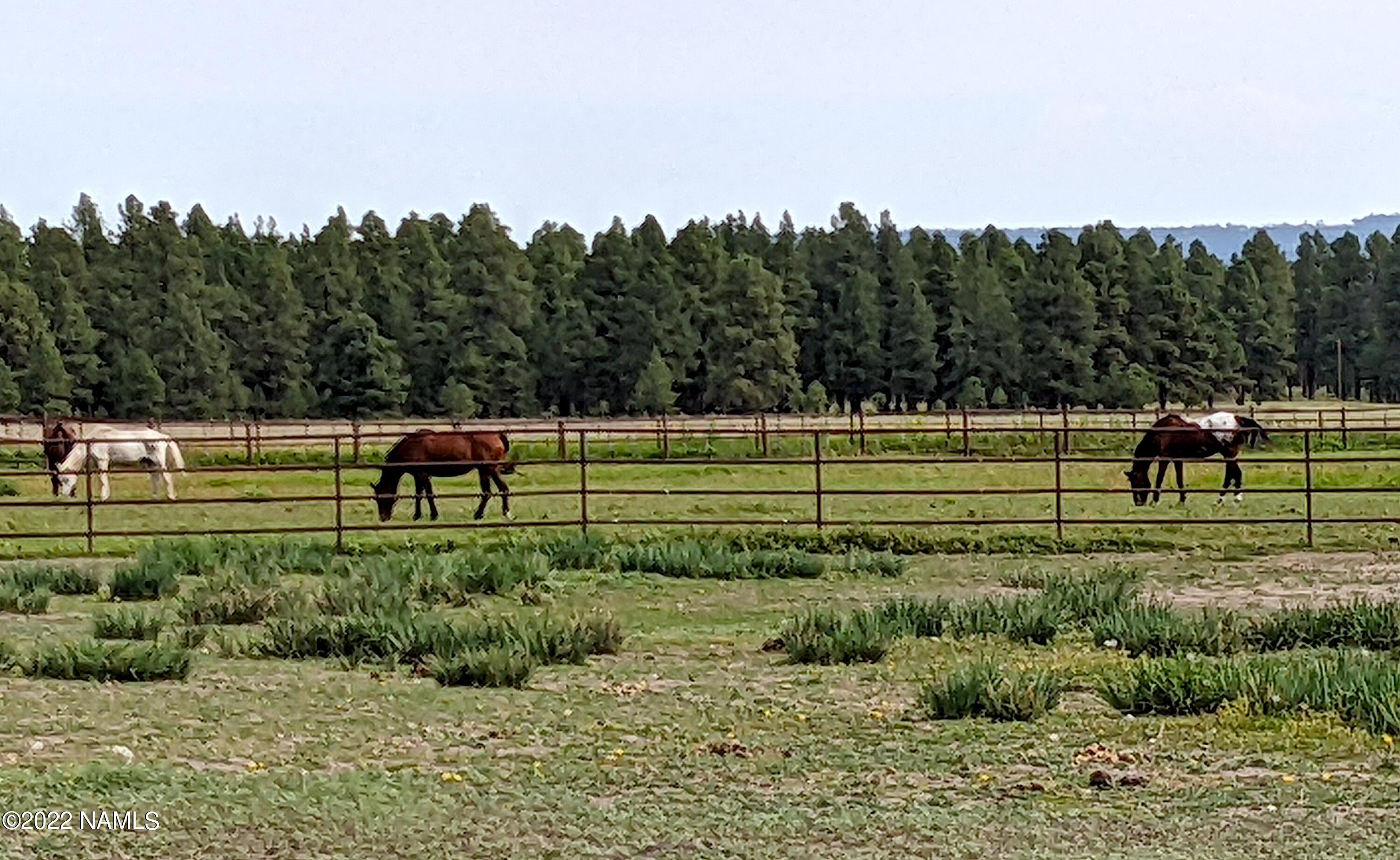 12830 East Thunder Rdg Road Parks, AZ 86018 - Photo 19 of 97 a view of a park
