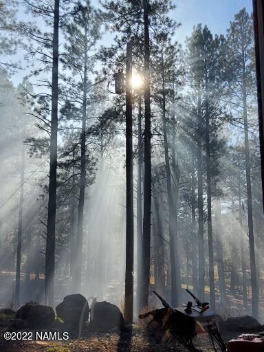 12830 East Thunder Rdg Road Parks, AZ 86018 - Photo 22 of 97 Sunset thru Fog-Trees