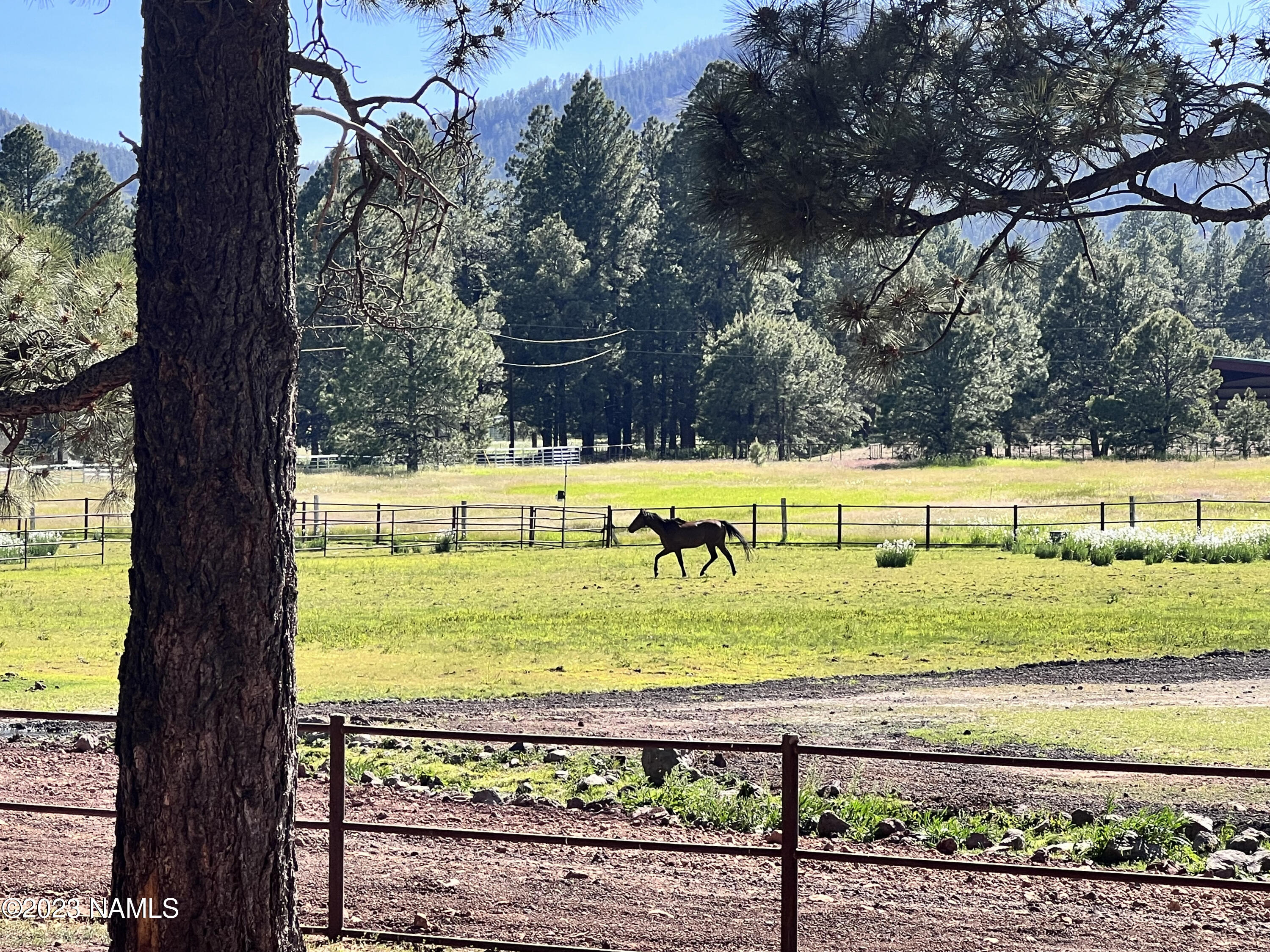12830 East Thunder Rdg Road Parks, AZ 86018 - Photo 65 of 97 IMG_2217