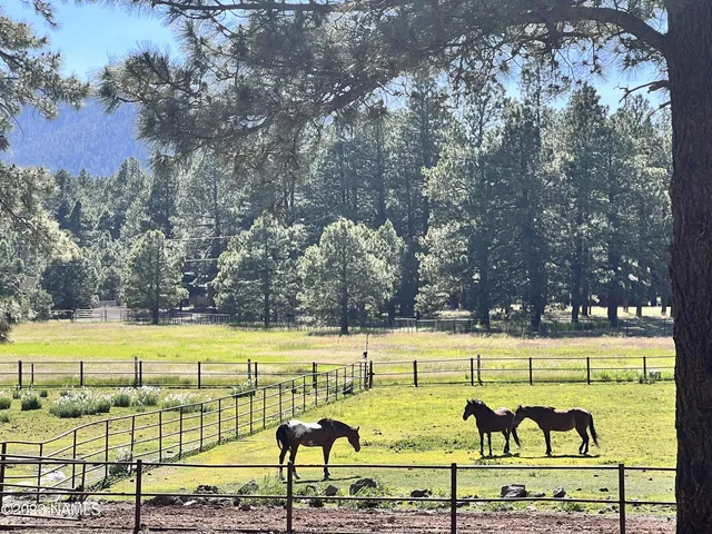 $2,237,750 | 12830 East Thunder Rdg Road, Parks, AZ 86018