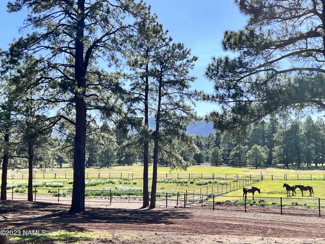 $2,237,750 | 12830 East Thunder Rdg Road, Parks, AZ 86018