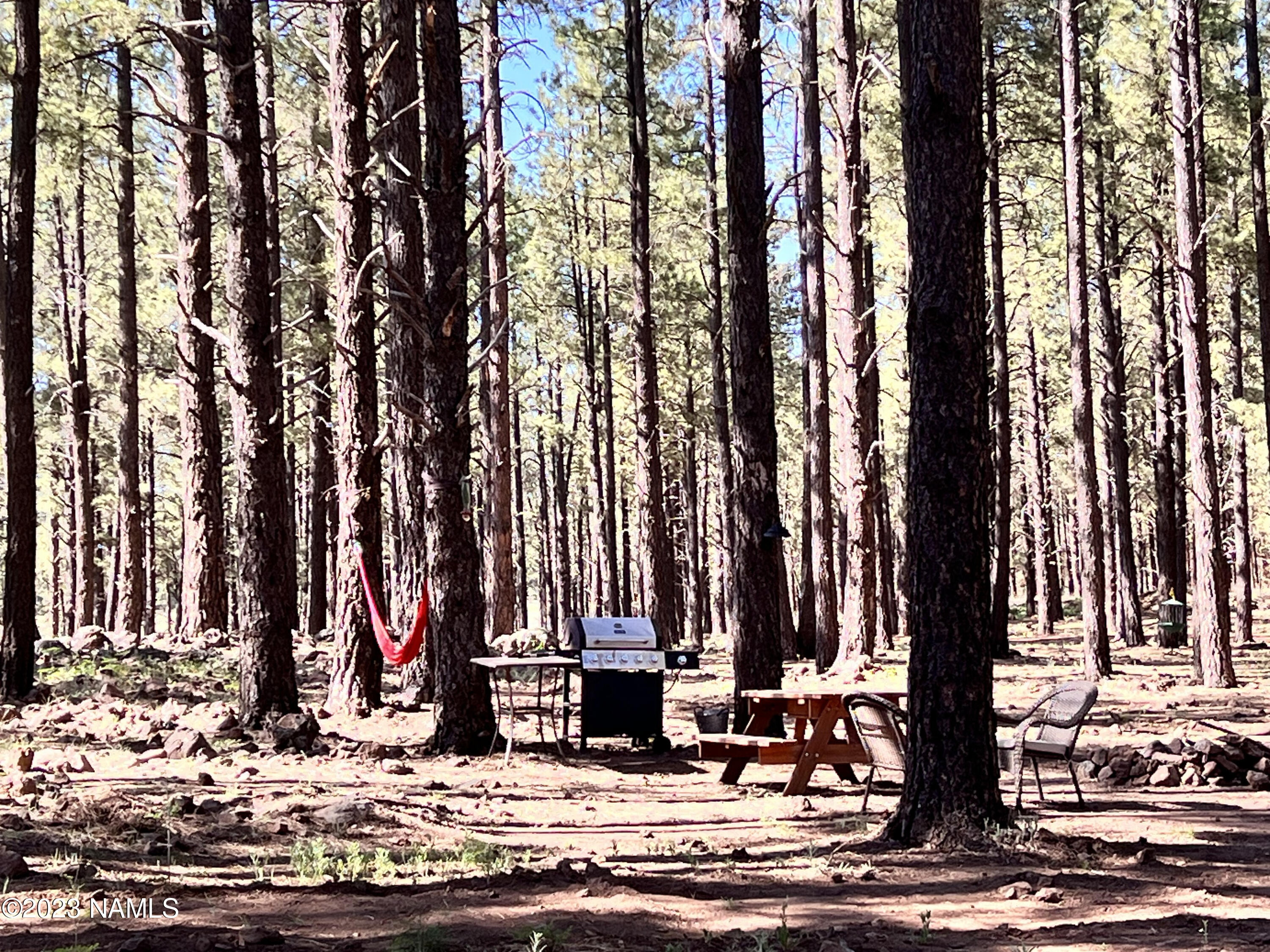 12830 East Thunder Rdg Road Parks, AZ 86018 - Photo 72 of 97 a view of outdoor space with street view