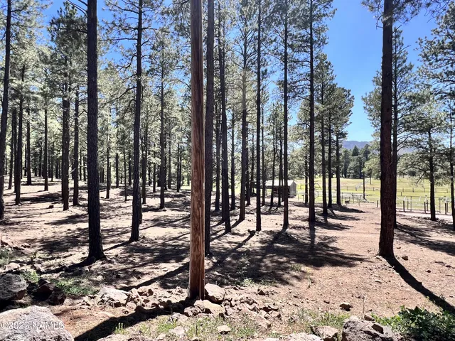 $2,237,750 | 12830 East Thunder Rdg Road, Parks, AZ 86018