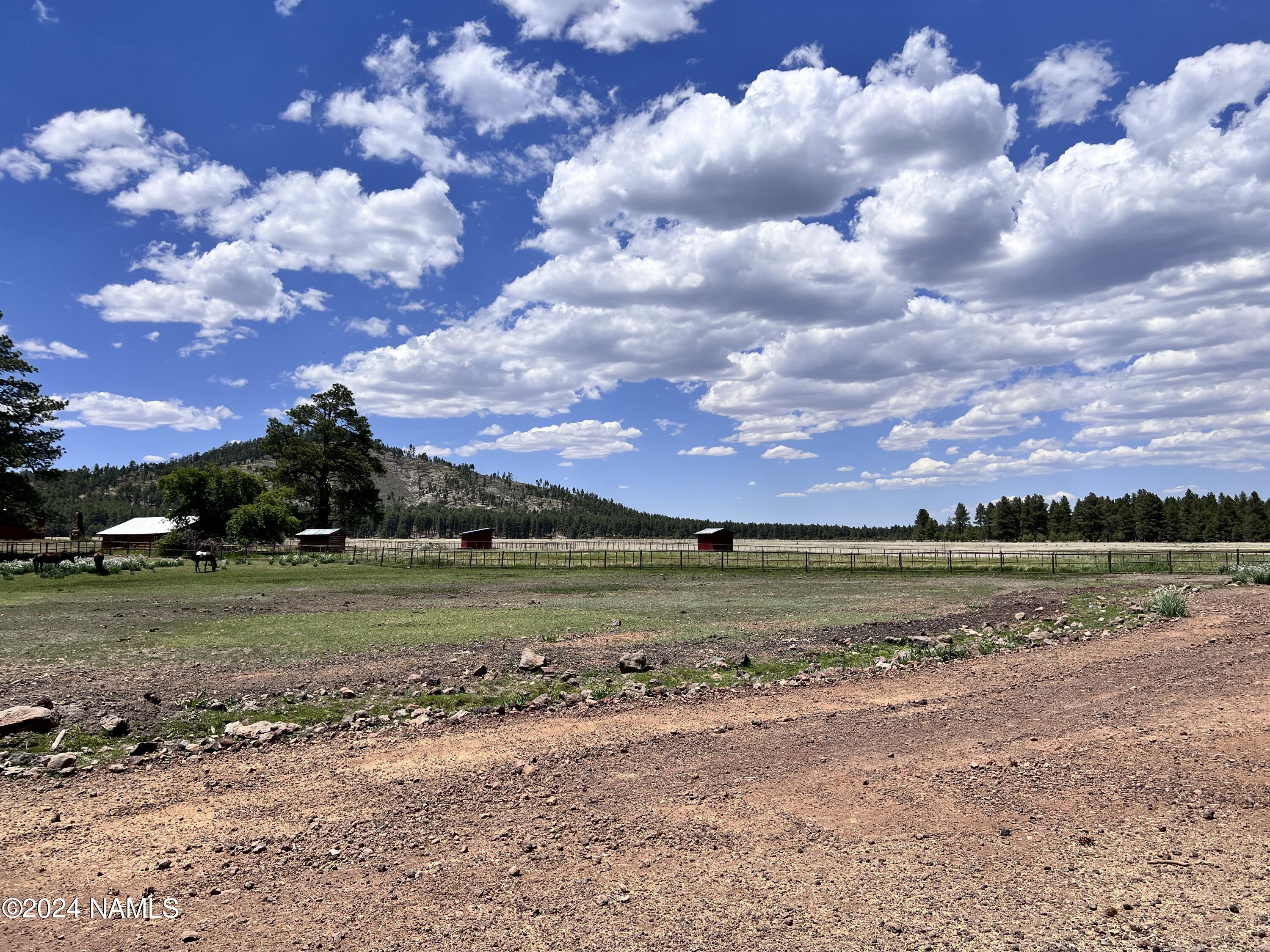 12830 East Thunder Rdg Road Parks, AZ 86018 - Photo 77 of 97 IMG_8990