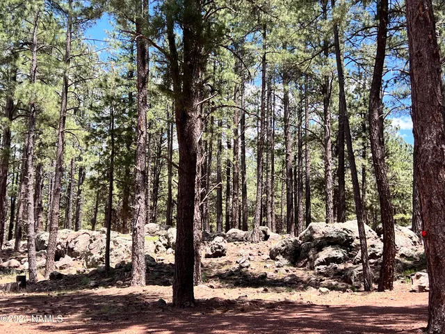 $2,237,750 | 12830 East Thunder Rdg Road, Parks, AZ 86018