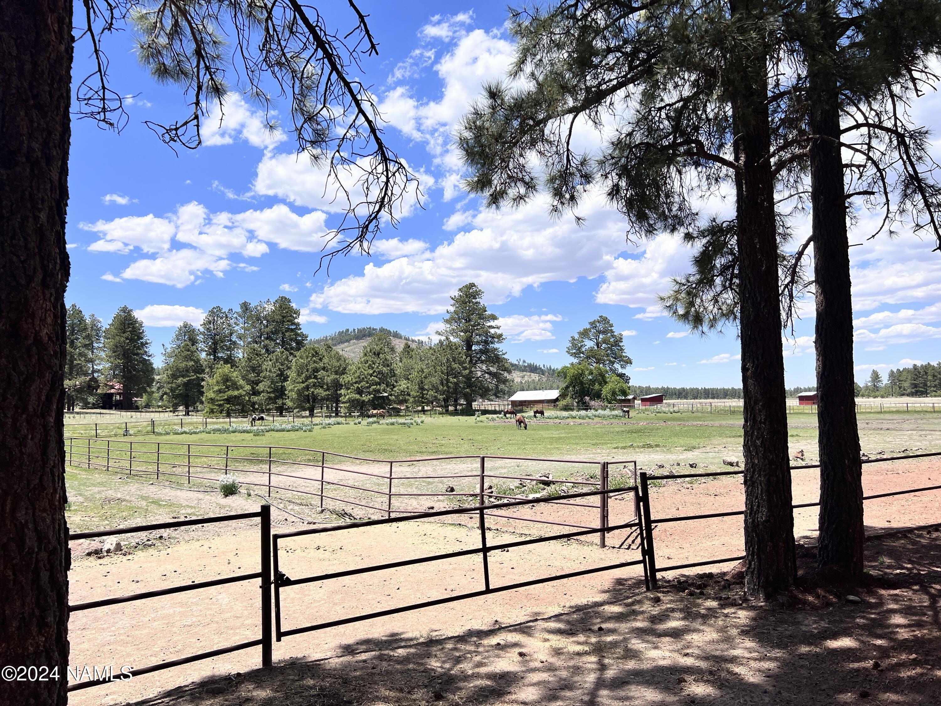 12830 East Thunder Rdg Road Parks, AZ 86018 - Photo 83 of 97 IMG_8979