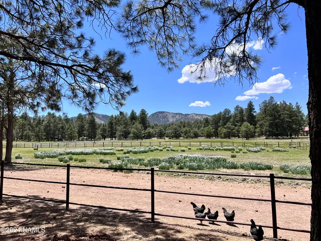 $2,237,750 | 12830 East Thunder Rdg Road, Parks, AZ 86018