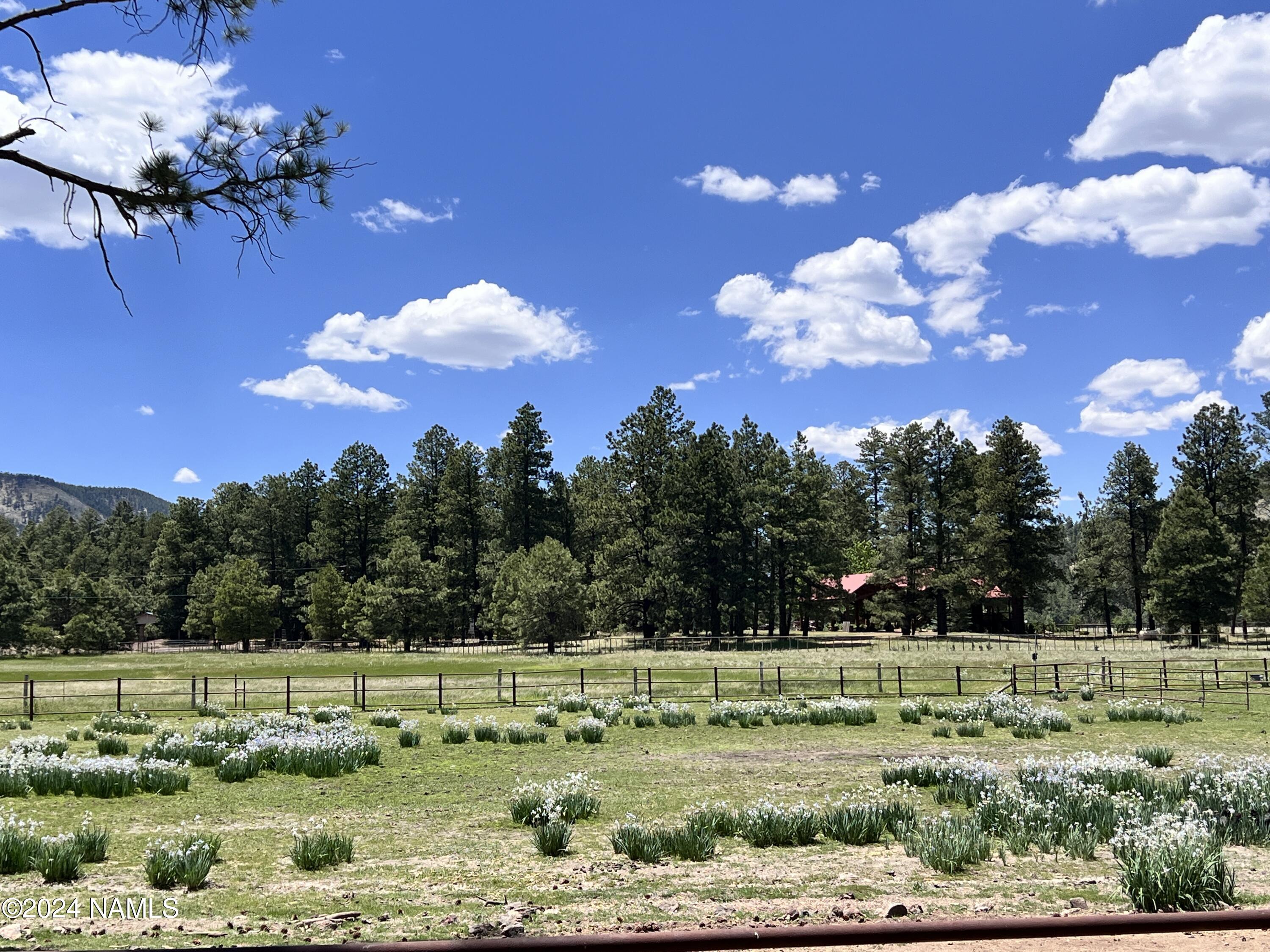 12830 East Thunder Rdg Road Parks, AZ 86018 - Photo 86 of 97 a view of a yard with an outdoor space
