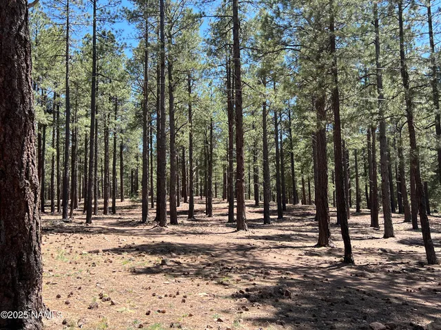 $2,237,750 | 12830 East Thunder Rdg Road, Parks, AZ 86018