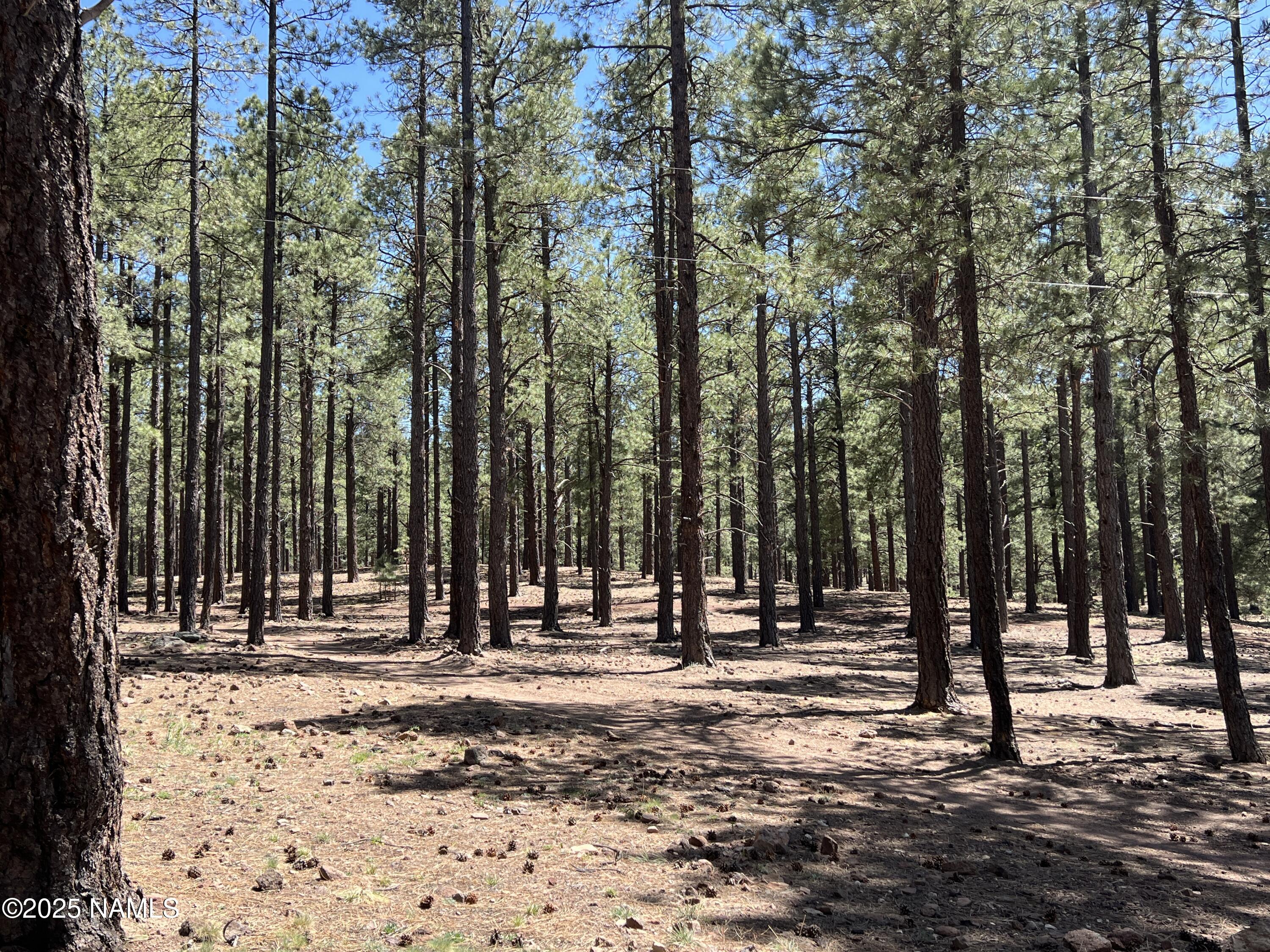 12830 East Thunder Rdg Road Parks, AZ 86018 - Photo 92 of 97 IMG_4973