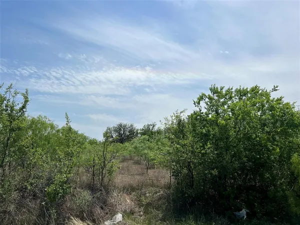 $250,000 | Tbd Industrial Boulevard, Comanche, TX 76442