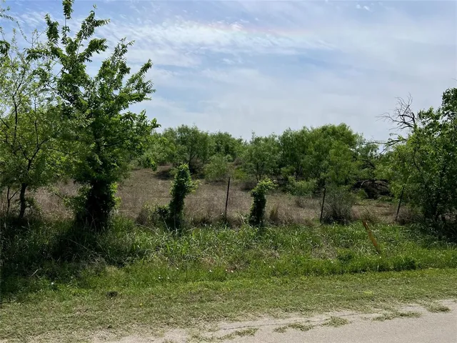 $250,000 | Tbd Industrial Boulevard, Comanche, TX 76442