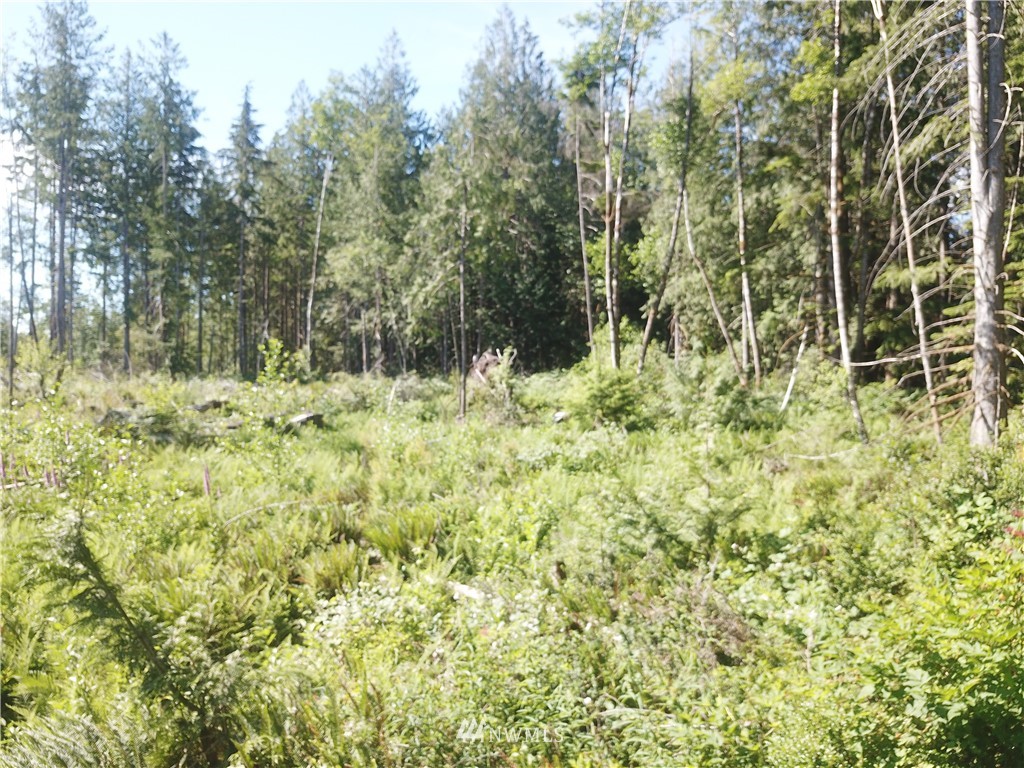 147 Lewis Road West Seabeck, WA 98380 - Photo 1 of 15 Gallery Image 1