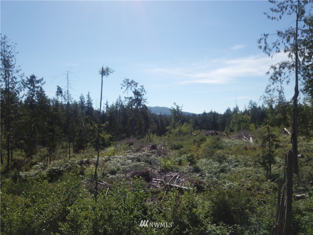 147 Lewis Road West Seabeck, WA 98380 - Photo 13 of 15 Gallery Image 13