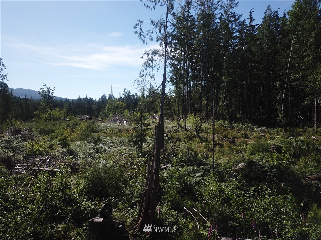 147 Lewis Road West Seabeck, WA 98380 - Photo 15 of 15 Gallery Image 15
