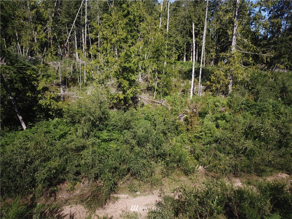 147 Lewis Road West Seabeck, WA 98380 - Photo 6 of 15 Gallery Image 6