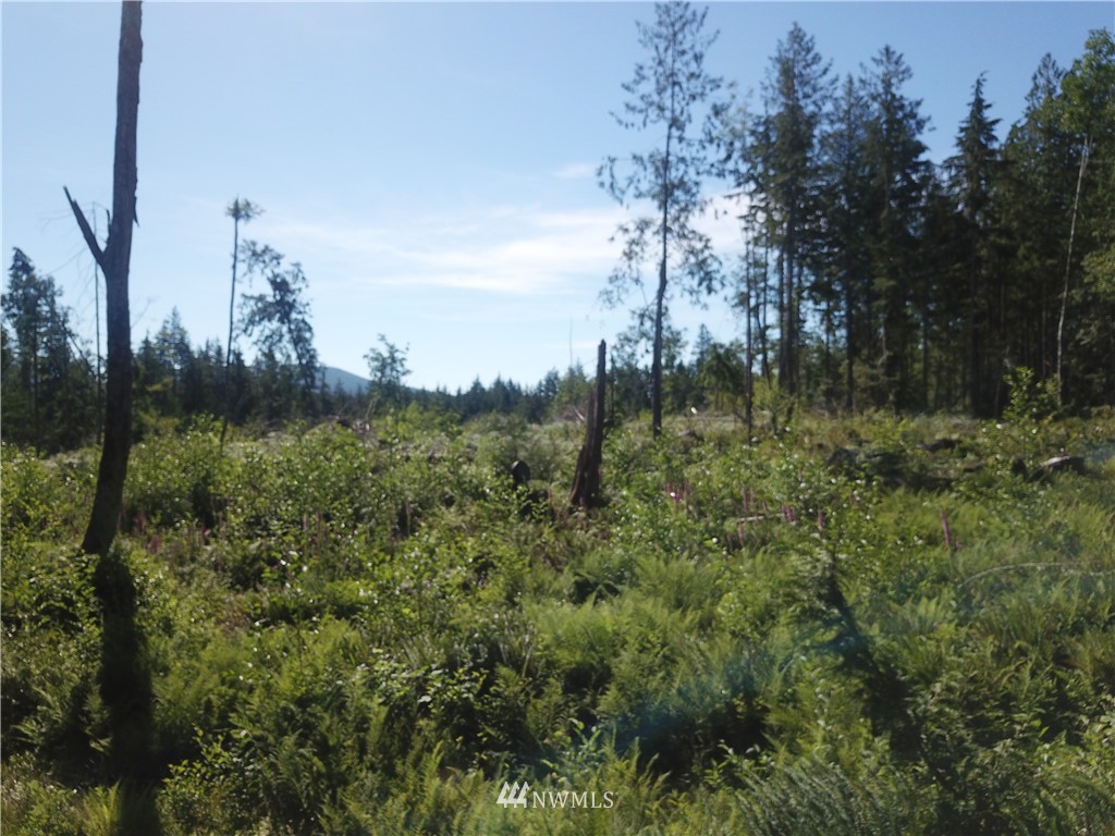 147 Lewis Road West Seabeck, WA 98380 - Photo 10 of 15 Gallery Image 10