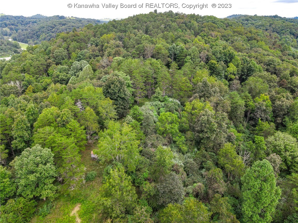 0 Route 1 Medina Road Ravenswood, WV 26164 - Photo 7 of 16 Gallery Image 7
