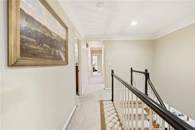 a view of outdoor space with garden and entertaining space