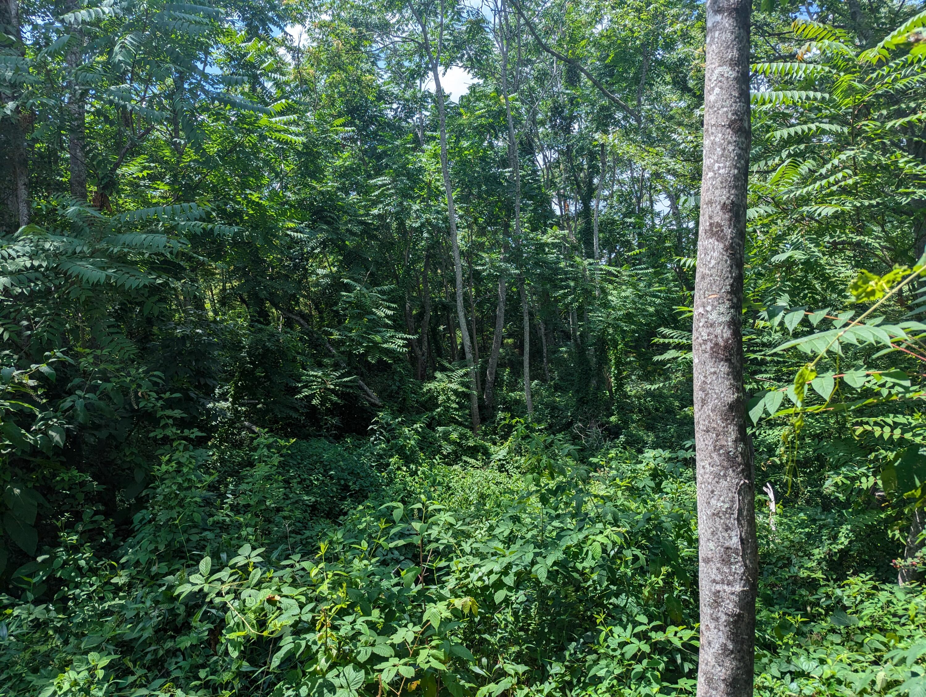 4489 Chestnut Flat Road McKee, KY 40447 - Photo 6 of 13 1000007171