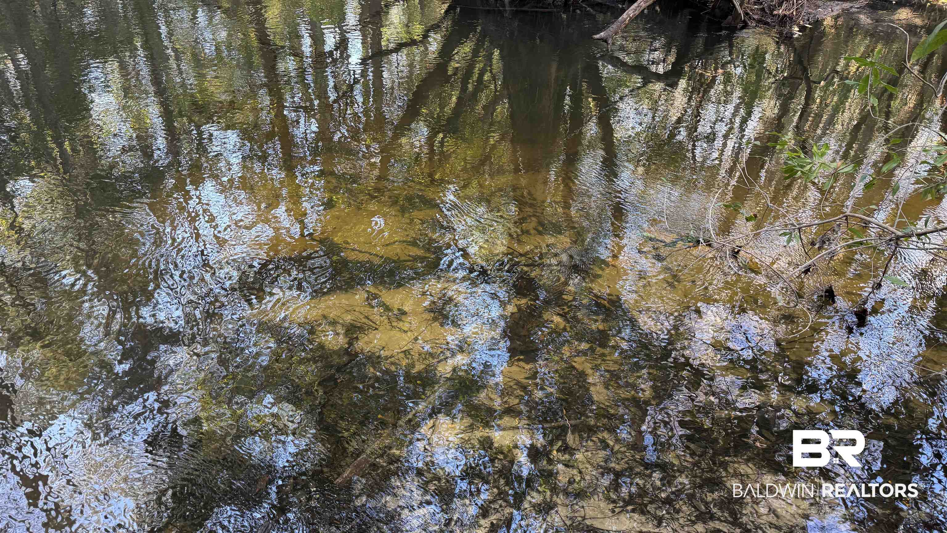 14830 Old Pascagoula Road Grand Bay, AL 36541 - Photo 15 of 32 View of local wilderness