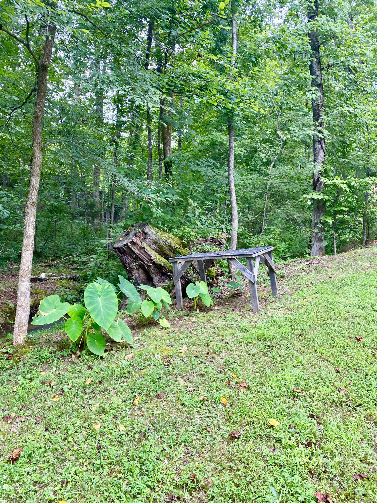 185 Randall Fugate Road Spring City, TN 37381 - Photo 27 of 31 fullsizeoutput_960