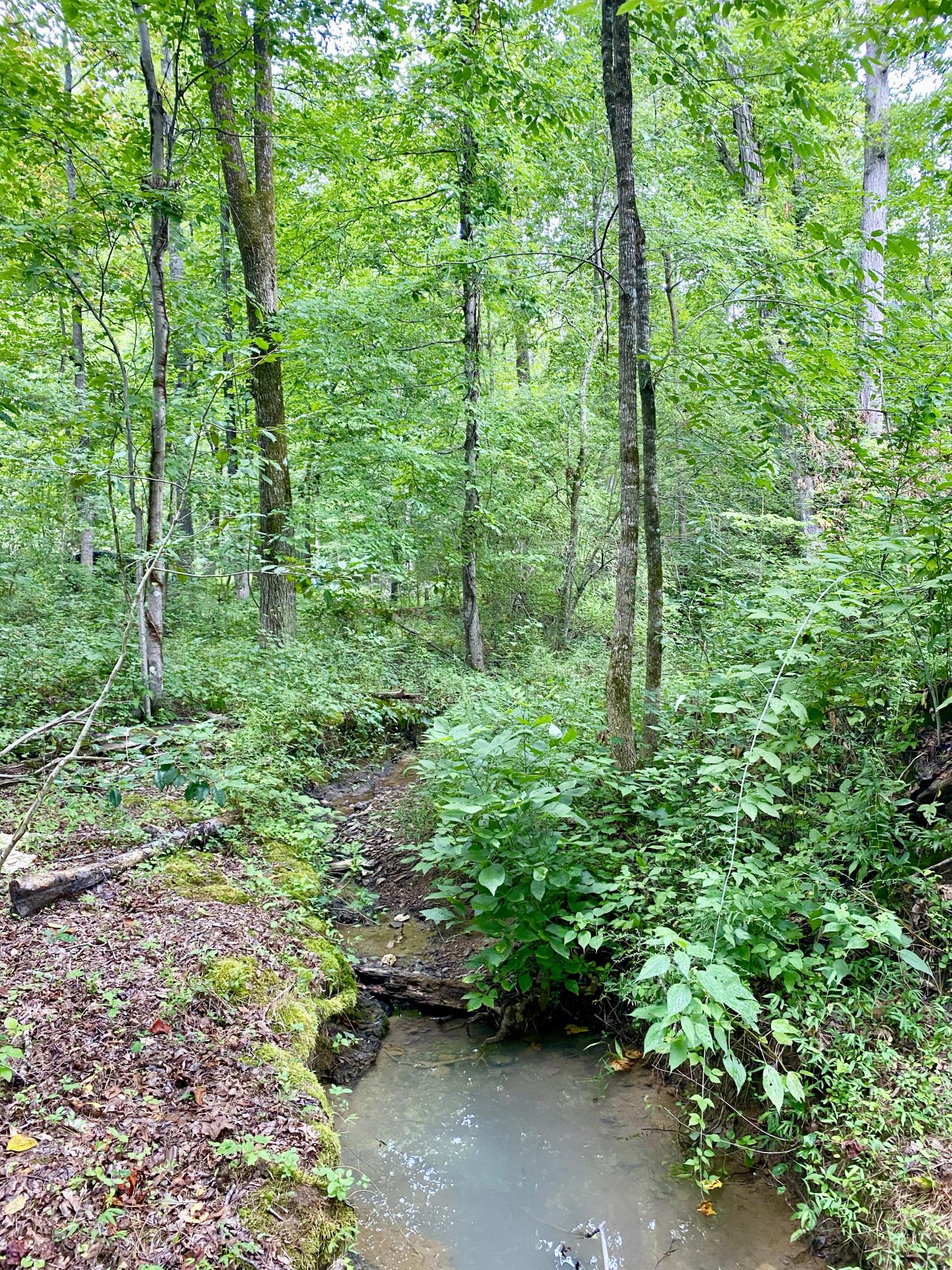 185 Randall Fugate Road Spring City, TN 37381 - Photo 31 of 31 fullsizeoutput_95e