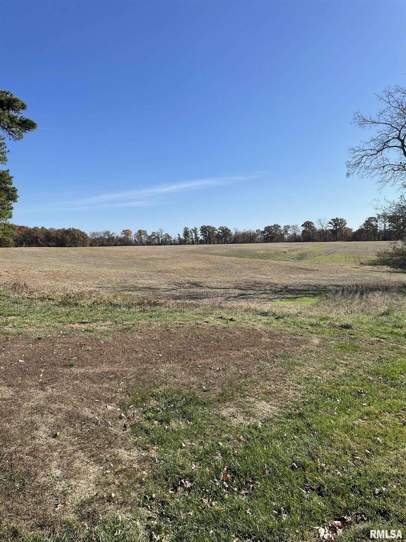 17726 Quiet Acres Road Scheller, IL 62883 - Photo 19 of 19 a view of an ocean