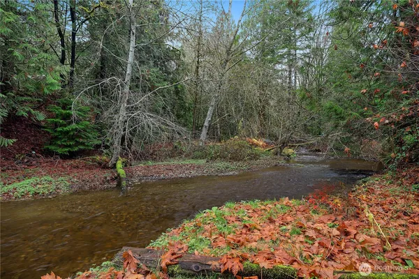 a view of a yard with plants and trees