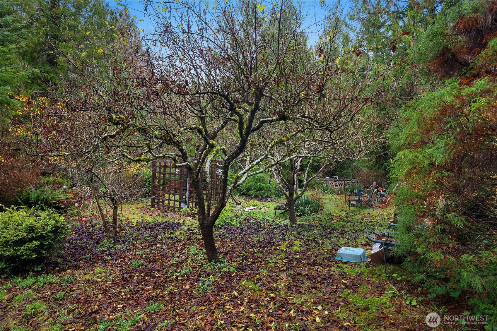 310 East Olde Lyme Road Shelton, WA 98584 - Photo 17 of 34 a view of yard