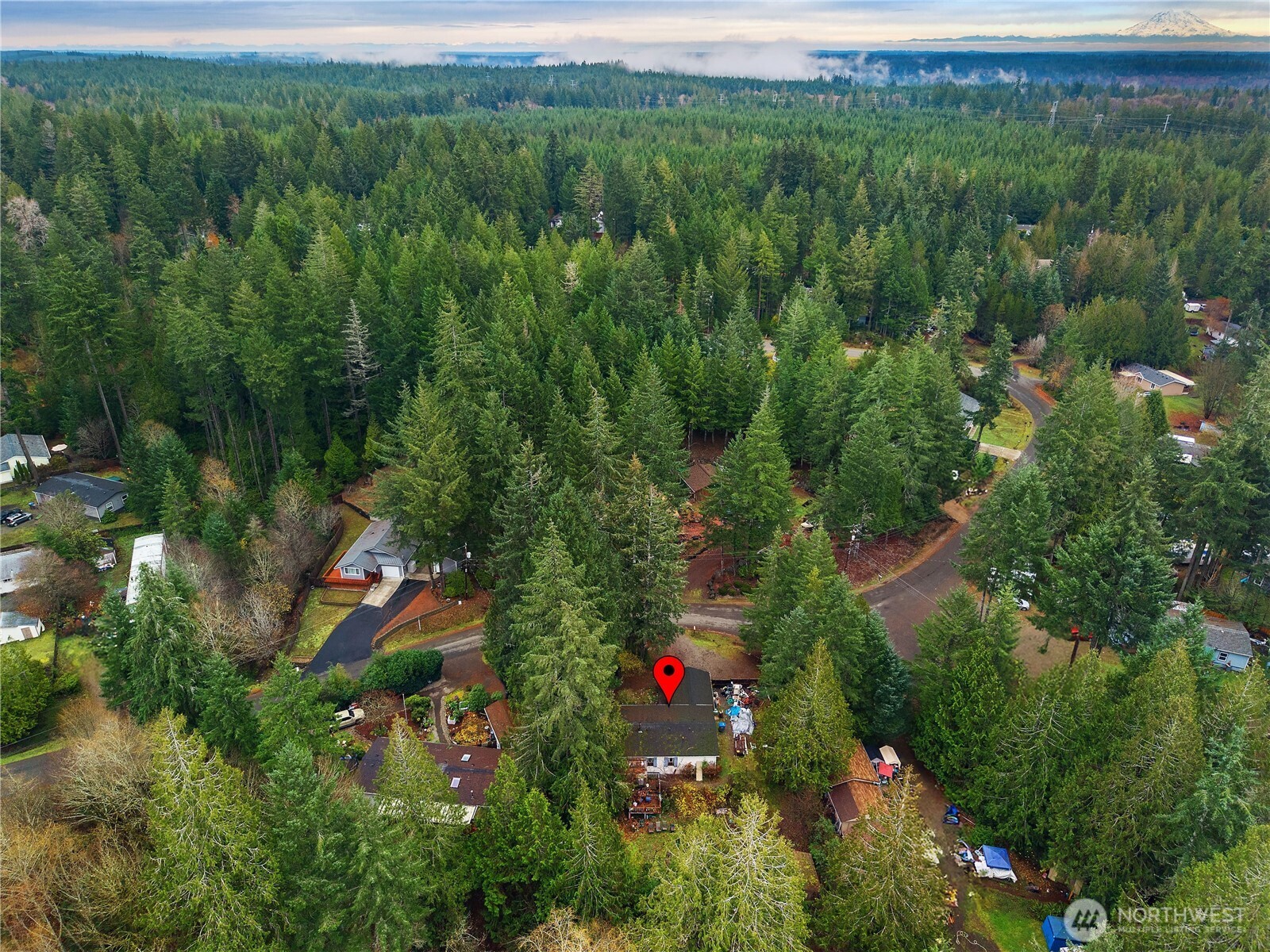 310 East Olde Lyme Road Shelton, WA 98584 - Photo 21 of 34 a view of a garden with a flower garden
