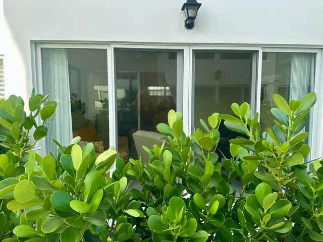 a view of a building with a yard