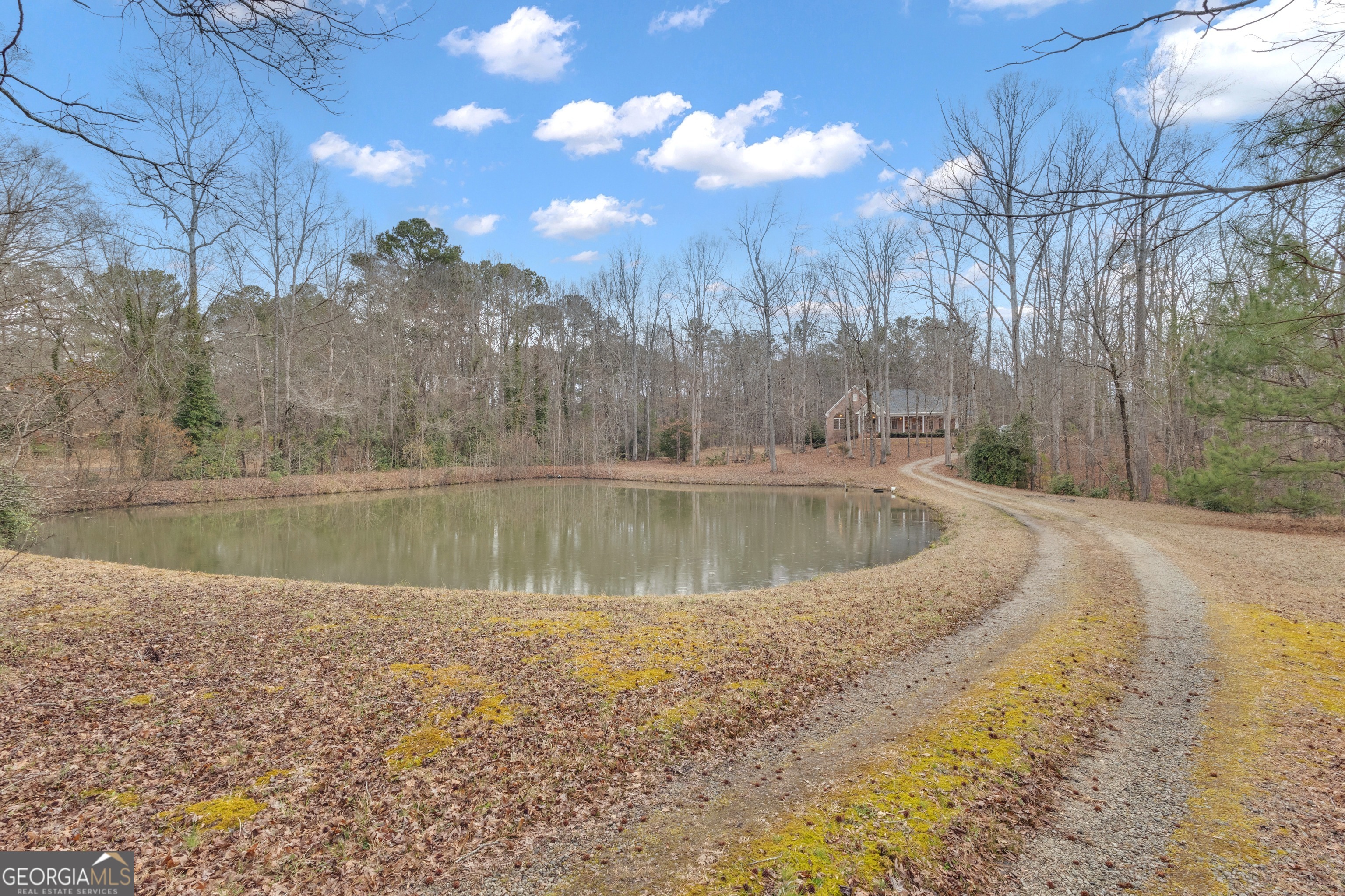 155 Rising Star Road Fayetteville, GA 30215 - Photo 4 of 89 a view of a lake view with a yard