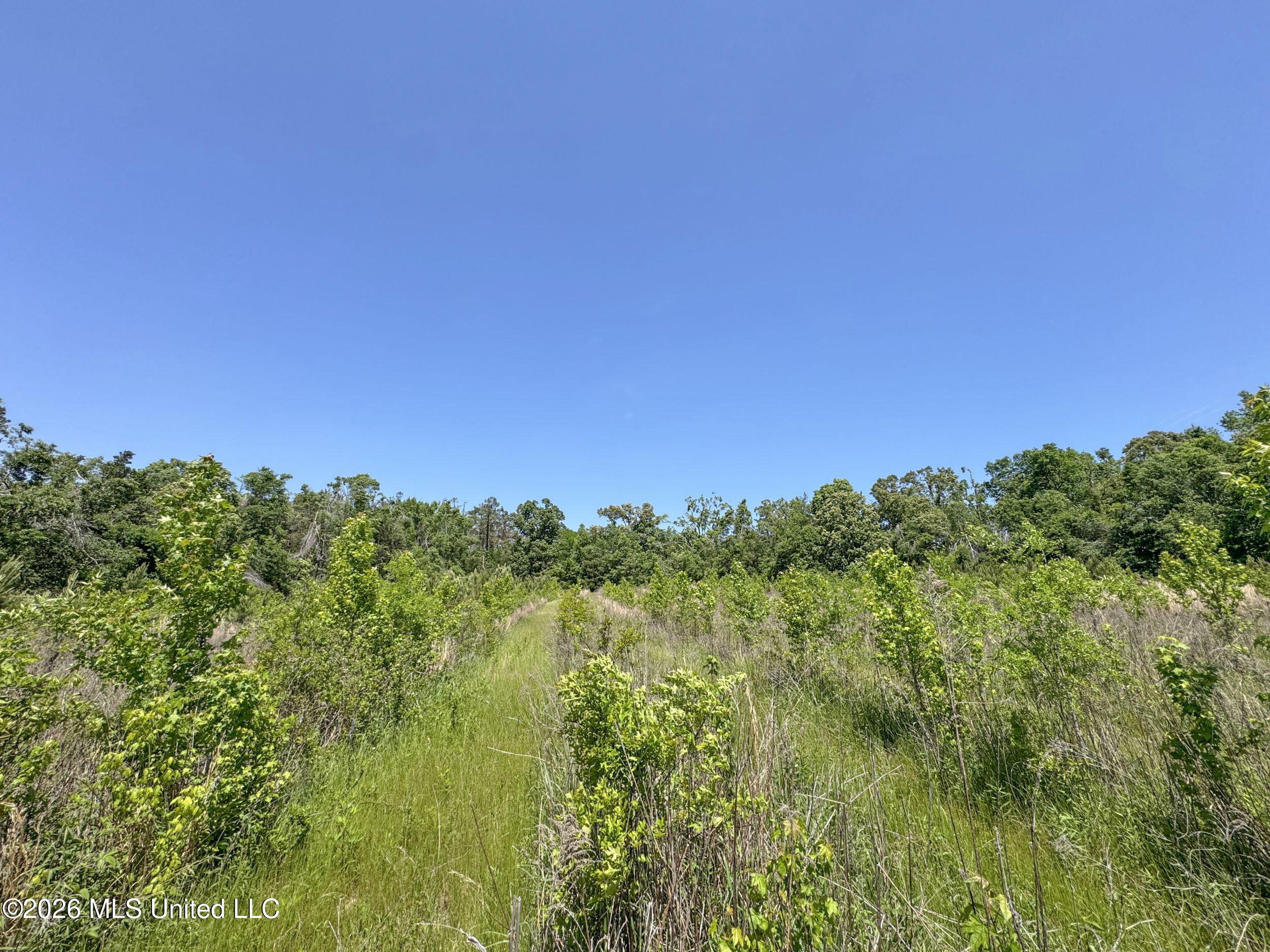 Chinqupin Road Lexington, MS 39095 - Photo 167 of 210 8chqpn30