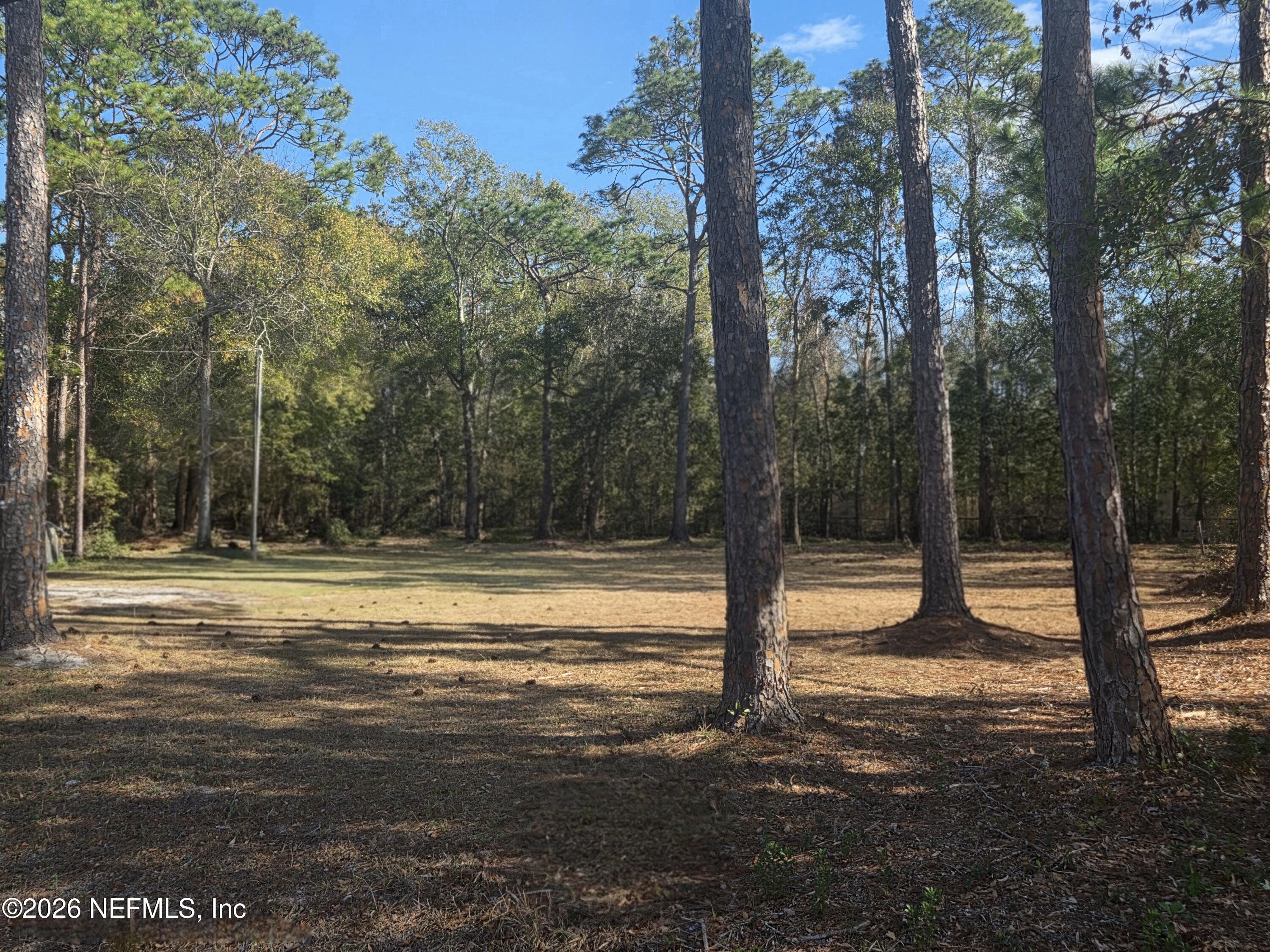 2487 Chaffee Road South Jacksonville, FL 32221 - Photo 5 of 11 a view of a yard with trees