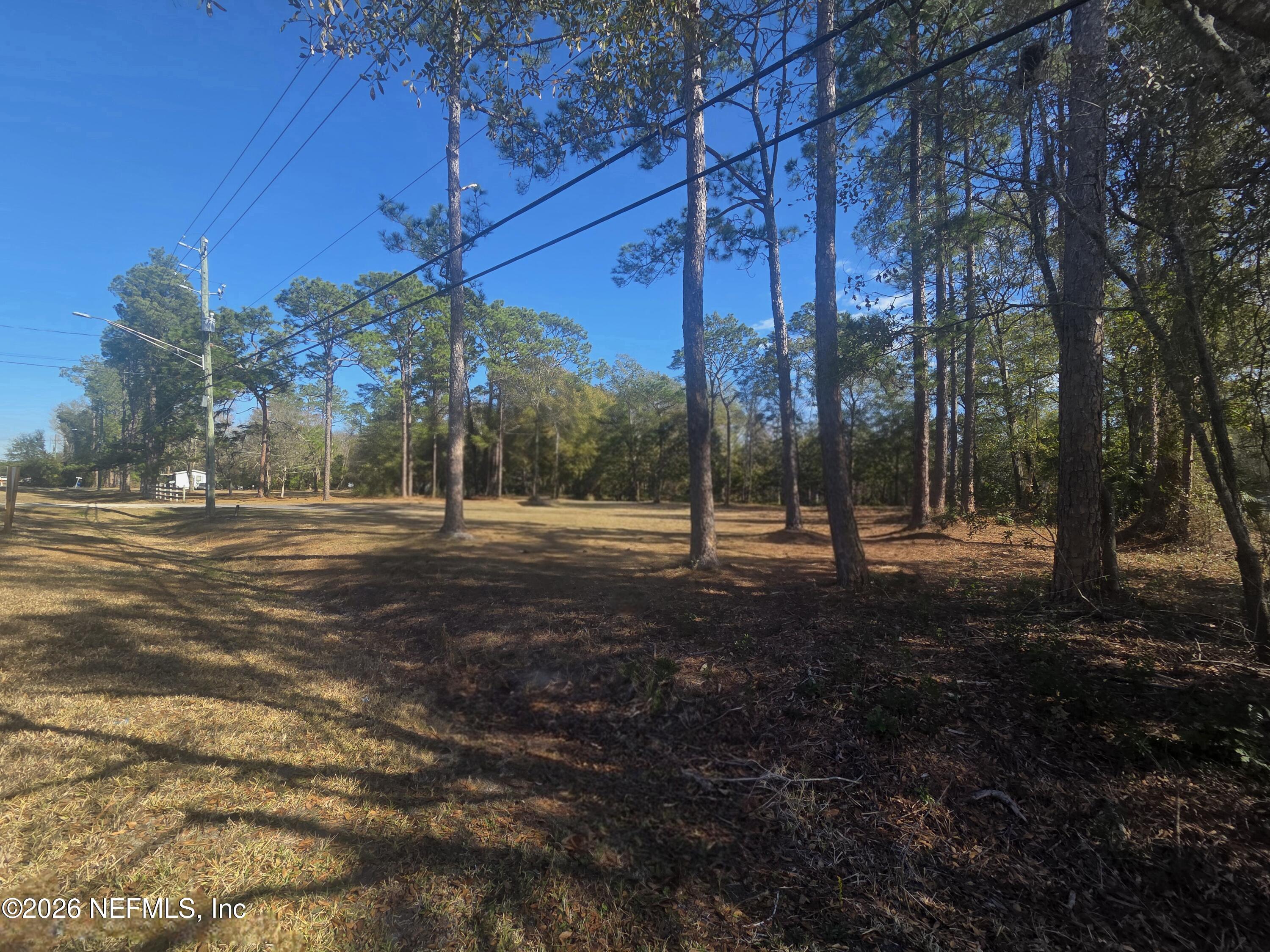 2487 Chaffee Road South Jacksonville, FL 32221 - Photo 6 of 11 a view of a tree in the middle of a yard