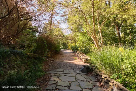 a view of a yard with plants and large trees