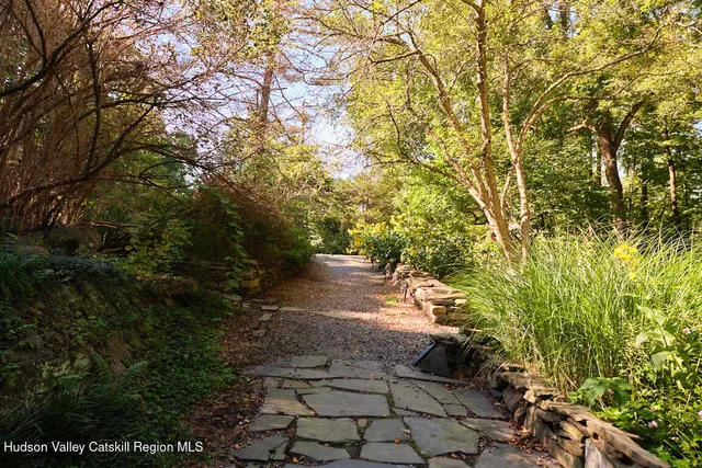a view of a yard with plants and large trees