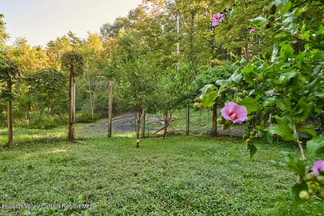 a view of a backyard with a large tree