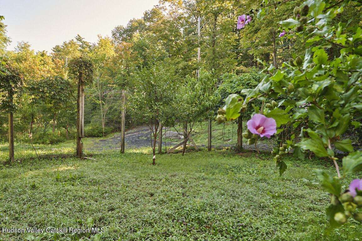 1883 Highway 213 Rifton, NY 12471 - Photo 39 of 46 a view of a backyard with a large tree