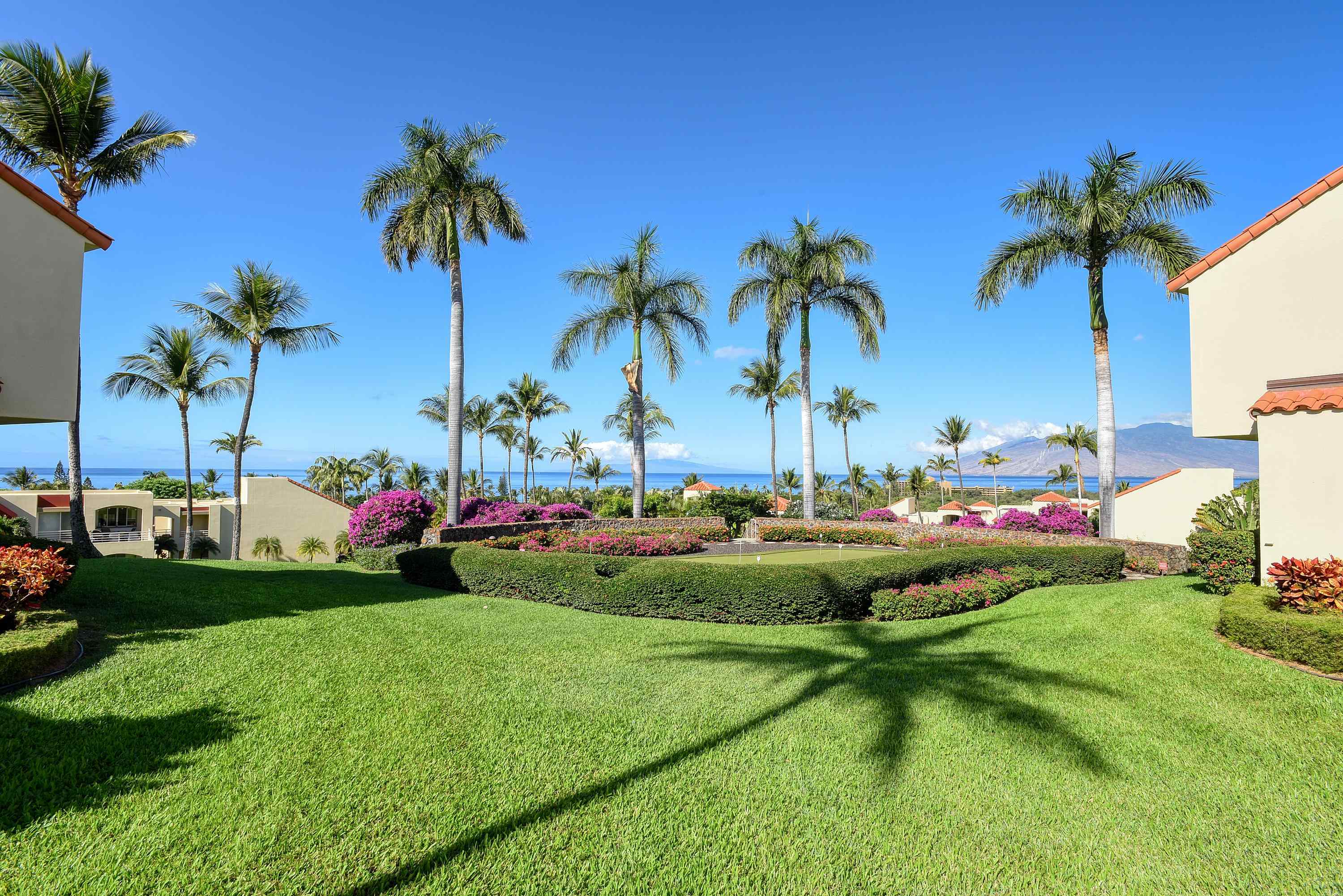 3150 Wailea Alanui Drive, Unit 3807 Kihei, HI 96753 - Photo 19 of 34 a view of a park with palm trees