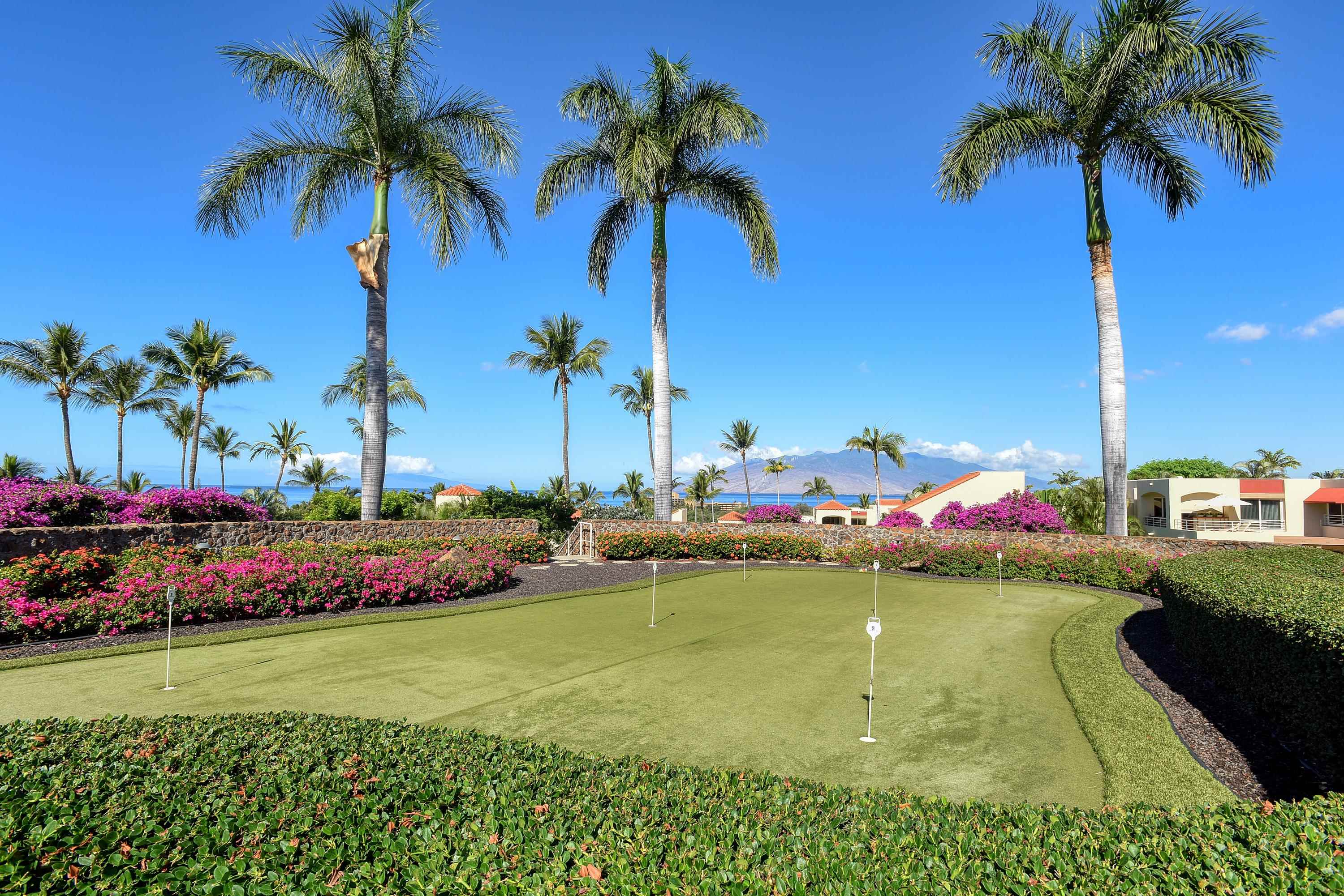 3150 Wailea Alanui Drive, Unit 3807 Kihei, HI 96753 - Photo 33 of 34 a view of a garden